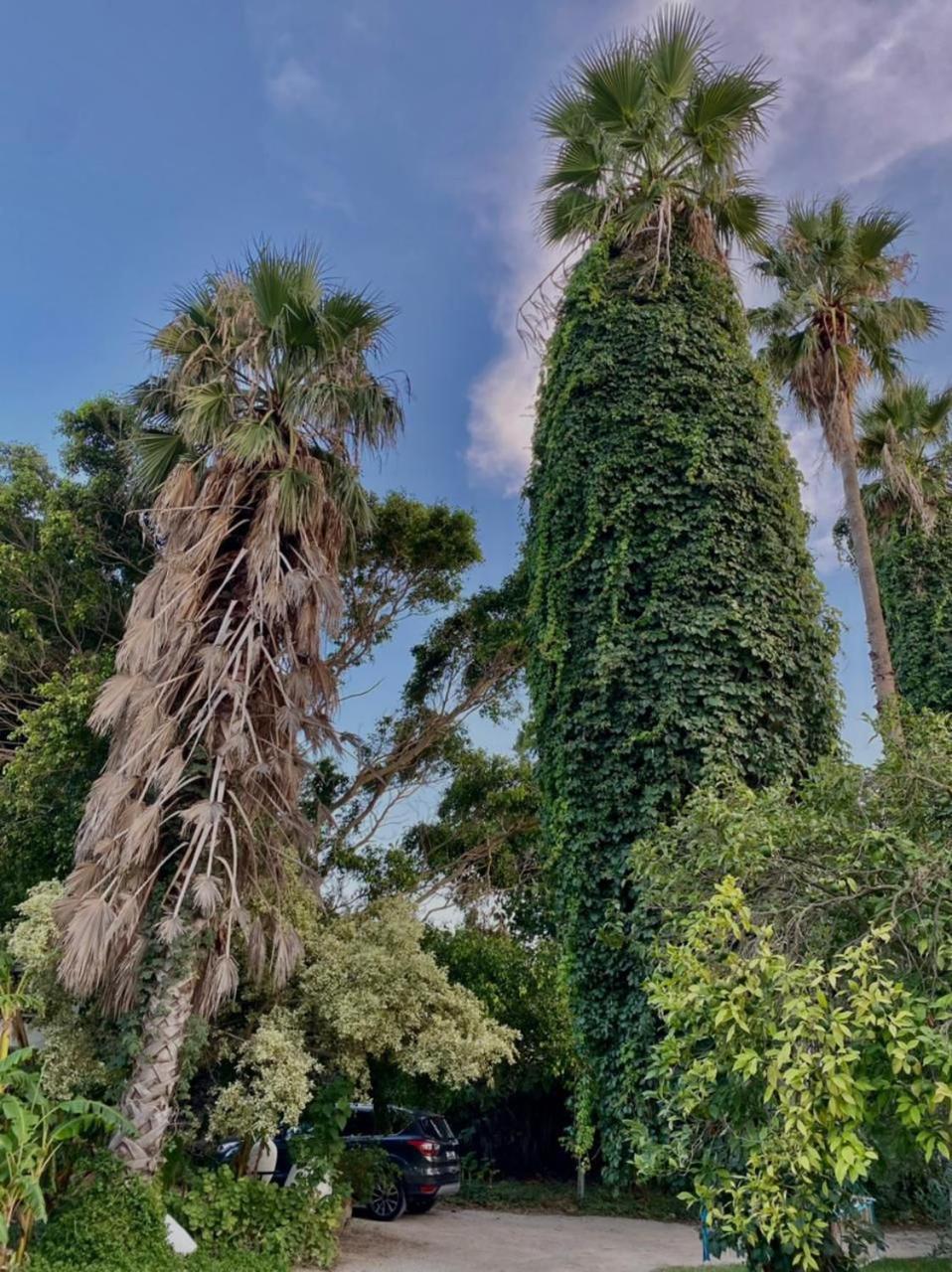 Villa Piloucha Beni Khiar Exterior foto